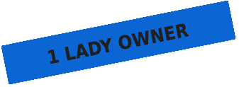 1-Lady-Owner.png
